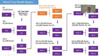 Enagic Business Compensation plan 2022 [upl. by Correy]