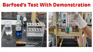 Barofoeds Test With Demonstration  Barfoeds Test For Carbohydrates [upl. by Imaon]