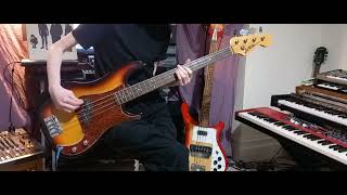 The Stranglers  Curfew Bass Cover [upl. by Norvall]