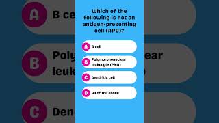 Which of the following is not an antigenpresenting cell APC [upl. by Koziel716]