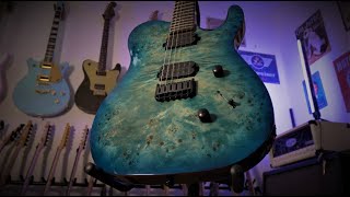 Chapman Guitars  What Are They Like [upl. by Naltiak]