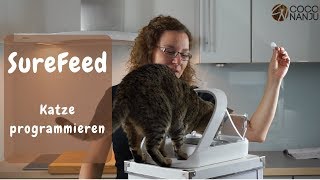 SureFeed Mikrochip Futterautomat  Katze einprogrammieren  SureFeed Video Reihe [upl. by Ettesus]