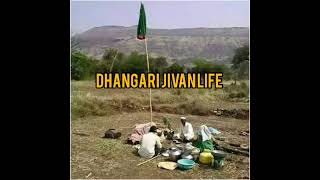 dhangari jivan life is live [upl. by Lladnew]