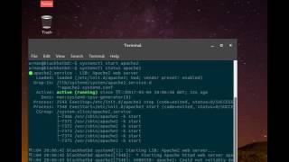 How to  start  stop  restart and check status  apache2 service in Ubuntu [upl. by Tirma]