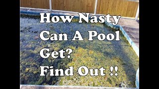 Nastiest Green Algae Swimming Pool Water EVER Cleared Up  Unbelievable Results [upl. by Levitt]