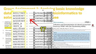 How to convert accession number of mRNA to saving protein sequences in NCBI [upl. by Amihsat584]