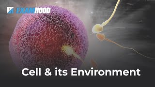 CELL AND ITS ENVIRONMENT [upl. by Oneal913]