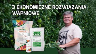 Trzy ekonomiczne rozwiązania wapniowe  Zbyszek Marek [upl. by Akinas]