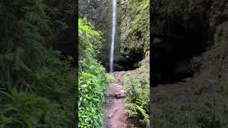 Another hike in Madeira leading along a levada and waterfalls through the lush forest… [upl. by Neely]