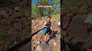 అడవిప్రయాణం🧗 adventure trekking hiking forest wildlife nature trending explore shorts me [upl. by Eydnarb304]