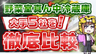 【真ん中野菜室冷蔵庫】おすすめはどこだ？大手５社を徹底比較【どう使いたいかがポイント】 [upl. by Hannie]