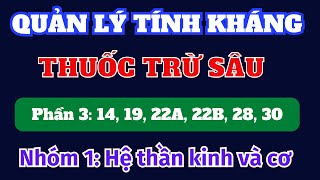 Quản lý tính kháng thuốc trừ sâu  Chương 1 Hệ thần kinh và hệ cơ Phần 3 Nhóm 14  30  IRAC [upl. by Anirtak]