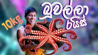 OCTOPUS Cooking and Eating Seafood Delicacy in Village Big Octopus Rice Recipe [upl. by Ived]