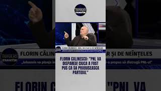 Florin Calinescu quotPNL va disparea Ciuca a fost pus ca sa prabuseasca partidulquot [upl. by Legnalos]