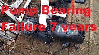 Astral Pool Viron P320 eVo Energy Efficient Pool Pump 7 Year Review Bearing Failure adelaideplains [upl. by Rowell]