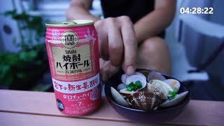 20240616【限定品早朝飲み】タカラ 焼酎ハイボール 岩下の新生姜割り・あさりの酒蒸し [upl. by Gabbie]