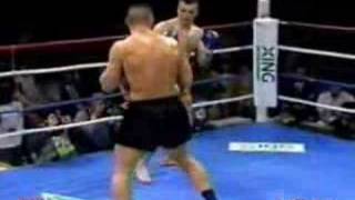 Mirko Cro Cop Filipovic vs Jerome LeBanner [upl. by Aiseneg744]