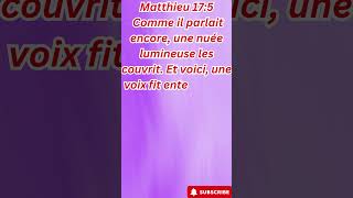 quotLa Voix du Ciel  La Confirmation du Fils BienAiméquot Matthieu 175short youtube ytshorts yt [upl. by Runkle]