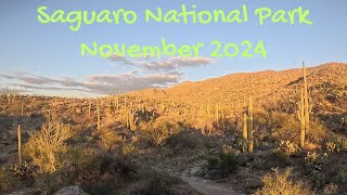 Saguaro November 2024 [upl. by Nnaeirrac359]