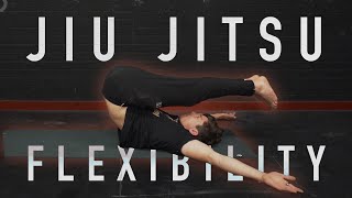 30 Minute Jiu Jitsu BJJ Flexibility Routine FOLLOW ALONG [upl. by Aremahs330]