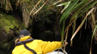 Smugglers Cove Port Pegasus Stewart Island [upl. by Taryne]