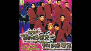 Grupo Tambor Tambor Un Rosal Sin Espinas 💿 Completo [upl. by Sandry]