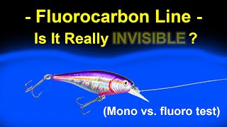 Fluorocarbon vs Monofilament Lines  Visibility Test Underwater [upl. by Acemaj]