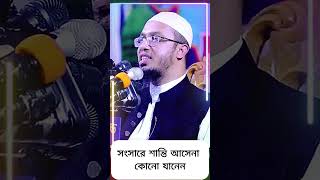 সংসারে শান্তি আসেনা কেন  সংসারে অশান্তির কারণ  সংসারে অশান্তি দূর করার উপায়  শায়খ আহমাদুল্লাহ [upl. by Ejroj]