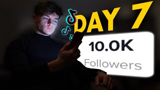 I Tried Growing A TikTok Theme Page From 0  10K Followers In 7 days [upl. by Fendig786]