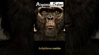 Ardipithecus ramidus  Alquimia del Saber  Sh66 prehistoria historia prehistorico curiosidades [upl. by Vogeley888]