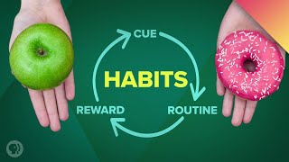 How Habits Can Change Your Life and Your Brain [upl. by Tomkins]