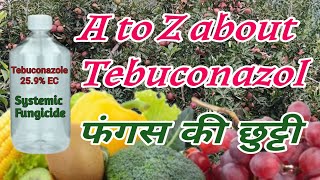 Tebuconazole 259 EC फंगस का सफाया  A to z about Tebuconazol Fungicide  bagwanikibaat [upl. by Harahs]