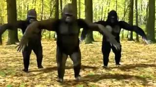 Ego The Crazy Things We Do Official Music Video Dancing Gorillas [upl. by Nocam]