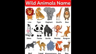 Wild Animals Name [upl. by Barbra]