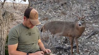 We Got COVID  Mapping Whitetails in Kansas  Warm Slow Rut Action in Big Deer Country [upl. by Ameen]