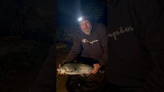 First Steelhead of the year freshwaterfish fishing fish [upl. by Ailaro]