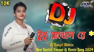 Tudu Bakhol Re  Mandira Kisku  New Santali Fansan dj Remix Song 2024 dj Sanjit Remix [upl. by Kraft264]