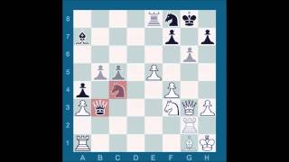 Chessmaster GME Schwartzman G vs Waitzkin J [upl. by Aileon574]