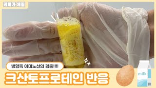 하또실 크산토프로테인 반응Xanthoproteic test 방향족 아미노산의 검출 단백질 검출 실험 [upl. by Accisej109]