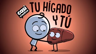 Tu hígado y tú  Casi Creativo [upl. by Nade]