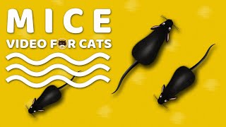 CAT GAMES  Mice Mouse Sounds Video for Cats  CAT amp DOG TV [upl. by Natloz]