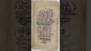 quotThose who burn books will in the end burn peoplequot  The Destruction of the Maya Codices history [upl. by Lirba]