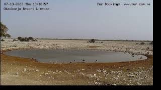 NWR Okaukuejo Waterhole LiveStream [upl. by Notliw]