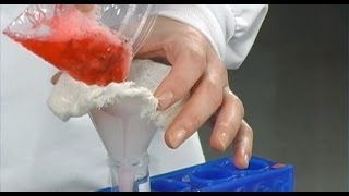 Strawberry DNA Extraction [upl. by Diannne]