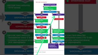 ACLS Protocol for Pulseless Electrical activity norcet7 norcet7papersolution rncctestseries [upl. by Avril782]