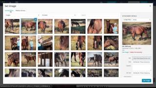 How to edit images and text in Wordpress with Visual Composer [upl. by Ieppet]