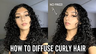 HOW TO DIFFUSE CURLY HAIR  No Frizz amp Quick for Beginners [upl. by Zaremski]