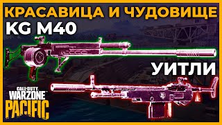 KG M40 и Уитли Полный Разбор в Call of Duty Warzone Pacific [upl. by Ahseuqram712]