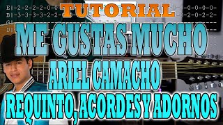 Me Gustas Mucho  Ariel Camacho  Requinto Acordes y Adornos  TUTORIAL  CON TABS [upl. by Dahlia]