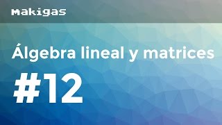 Álgebra lineal y matrices – 12 Matriz inversa con determinantes [upl. by Koloski]